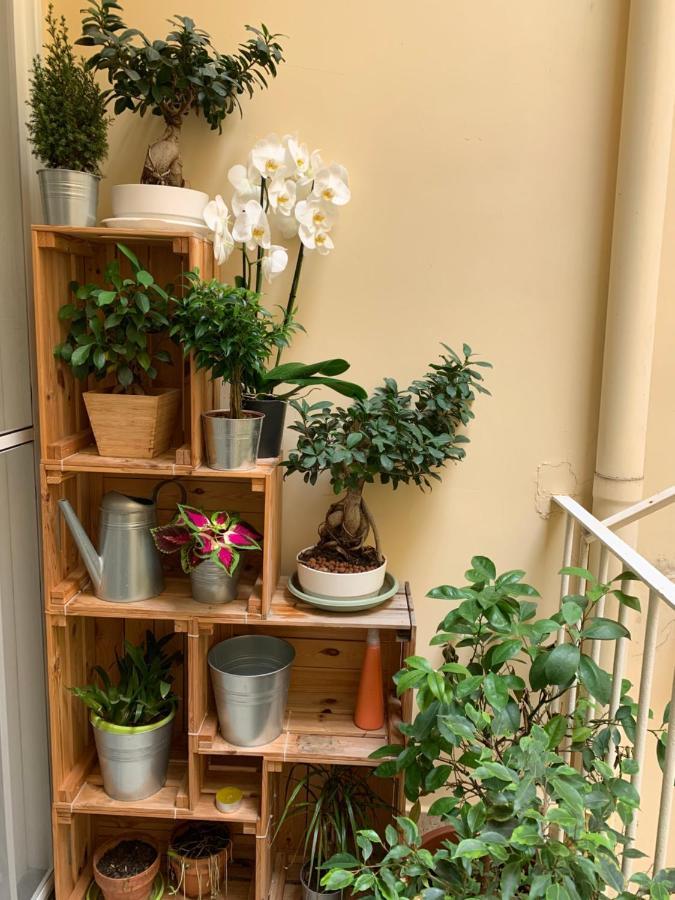 Raroom Boutique Home 托雷德尔格雷科 外观 照片